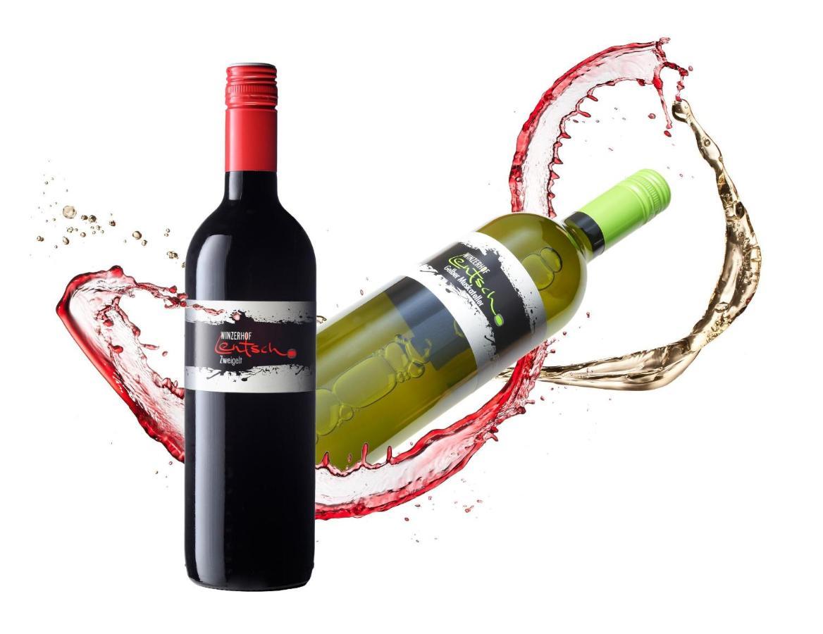 דירות ג'ויס Winzerhof Lentsch מראה חיצוני תמונה
